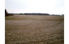 Property photo 9 - 160 Acres in 4 Tracts - Building Potential and Cropland